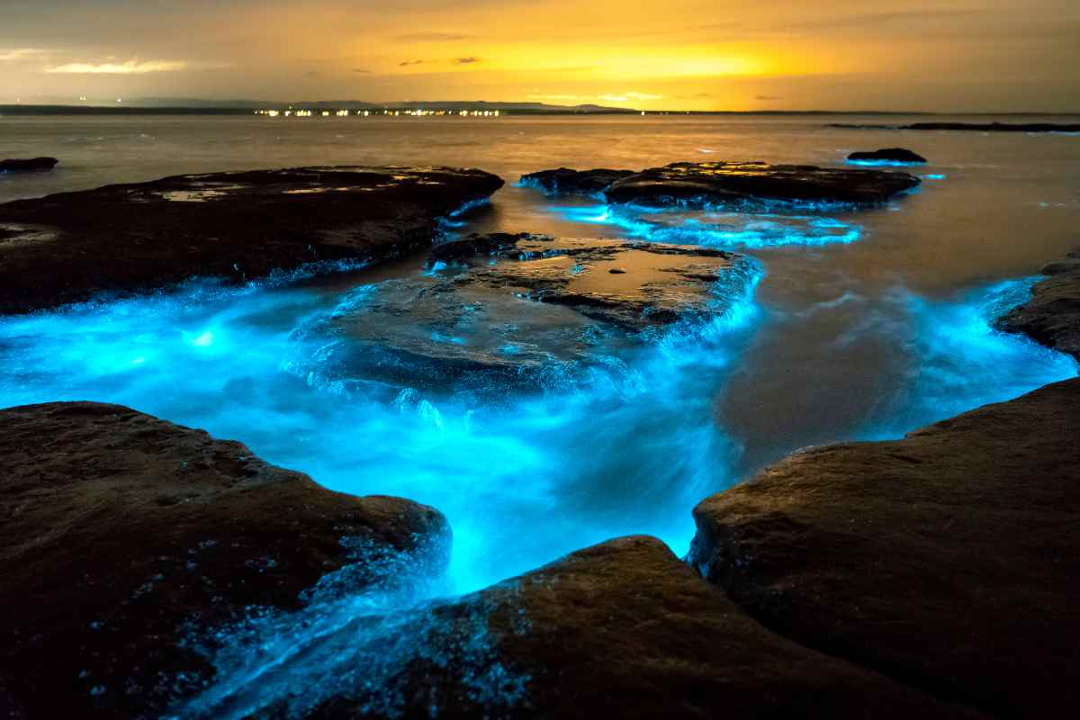 Bioluminescenza